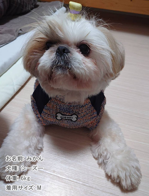 ミックスニットノースリーブ 犬服ブランドのドッグデプト/DOG DEPT