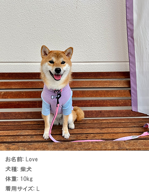 ギンガムレイヤーストレッチフリース犬服ブランドのドッグデプト/DOG DEPT