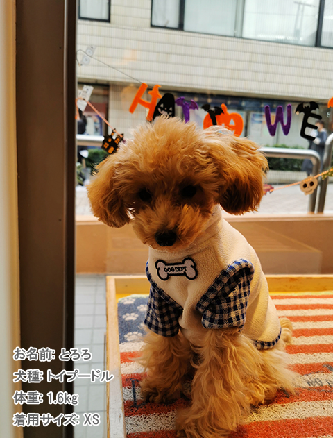 ギンガムレイヤーストレッチフリース犬服ブランドのドッグデプト/DOG DEPT