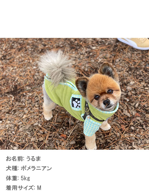 ギンガムレイヤーストレッチフリース犬服ブランドのドッグデプト/DOG DEPT