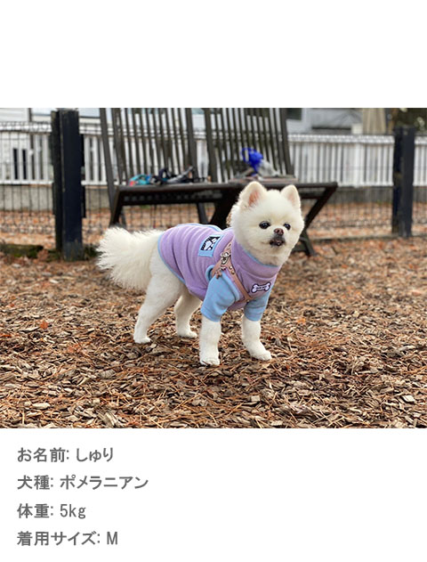 ギンガムレイヤーストレッチフリース犬服ブランドのドッグデプト/DOG DEPT