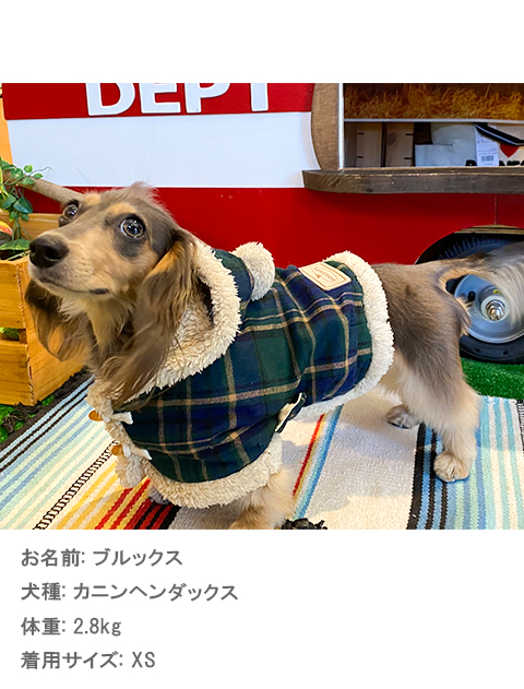 タータンチェックコート犬服ブランドのドッグデプト/DOG DEPT