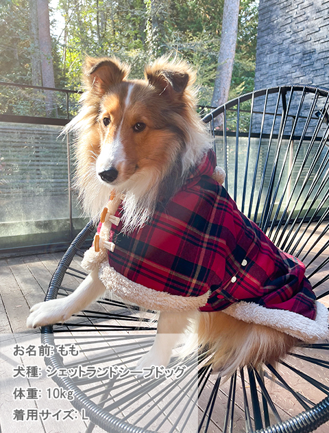タータンチェックコート犬服ブランドのドッグデプト/DOG DEPT