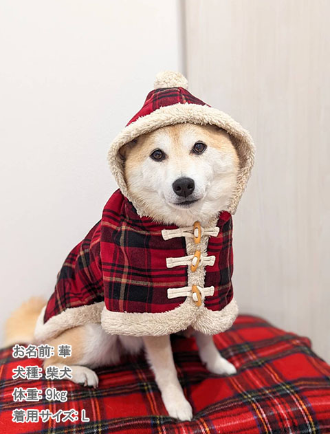 タータンチェックコート犬服ブランドのドッグデプト/DOG DEPT