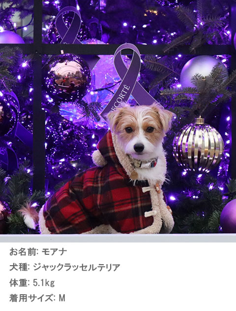 タータンチェックコート犬服ブランドのドッグデプト/DOG DEPT