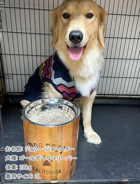 カラフルノルディックニット 犬服ブランドのドッグデプト/DOG DEPT