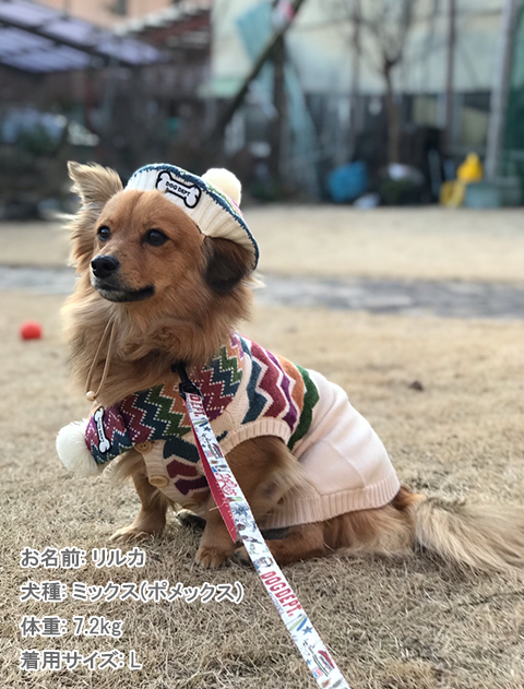カラフルノルディックニット 犬服ブランドのドッグデプト/DOG DEPT