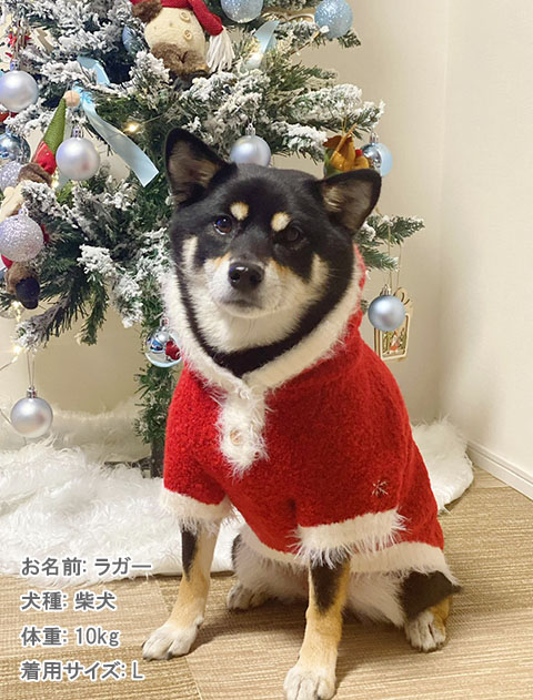 happy holiday ニット 犬服ブランドのドッグデプト/DOG DEPT