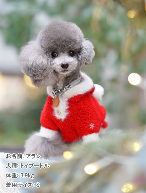 happy holiday ニット 犬服ブランドのドッグデプト/DOG DEPT
