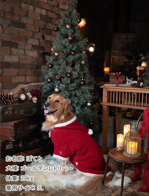 happy holiday ニット 犬服ブランドのドッグデプト/DOG DEPT