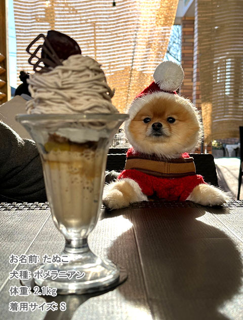 happy holiday ニット 犬服ブランドのドッグデプト/DOG DEPT