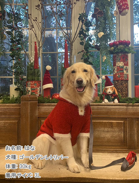 happy holiday ニット 犬服ブランドのドッグデプト/DOG DEPT