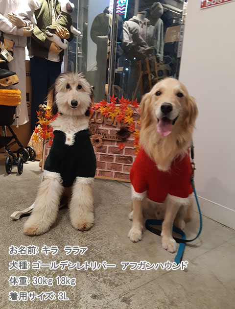 happy holiday ニット 犬服ブランドのドッグデプト/DOG DEPT