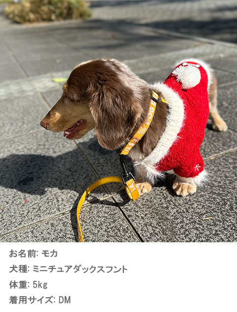happy holiday ニット 犬服ブランドのドッグデプト/DOG DEPT