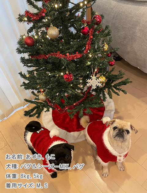 happy holiday ニット 犬服ブランドのドッグデプト/DOG DEPT