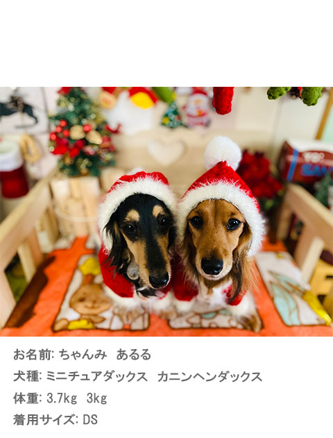 happy holiday ニット 犬服ブランドのドッグデプト/DOG DEPT