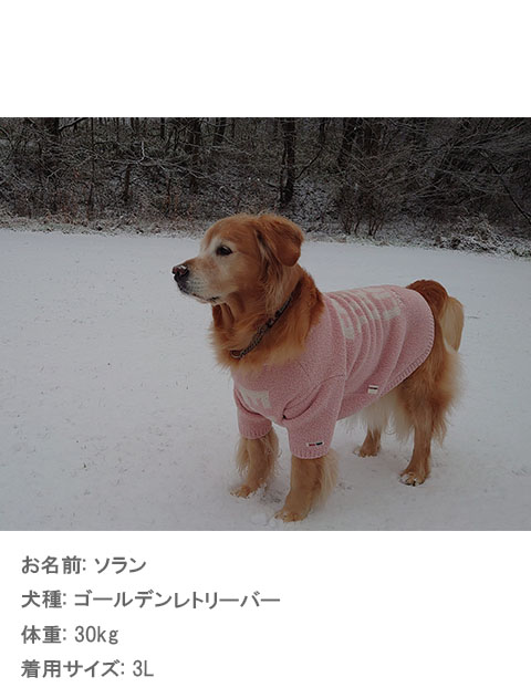 犬服 / ドッグウェア】モコモコニット / DOG DEPT (ドッグデプト