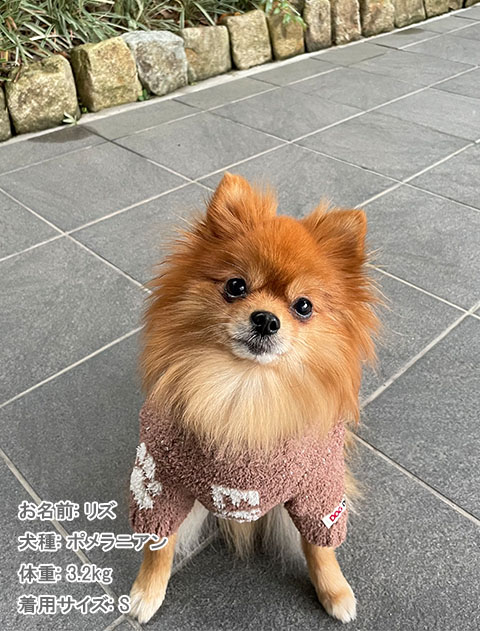 サイズ交換対象外 ドッグデプト DOGDEPT モコモコニット Lサイズ