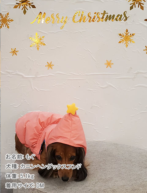 フェアリーエアーベスト 犬服ブランドのドッグデプト/DOG DEPT