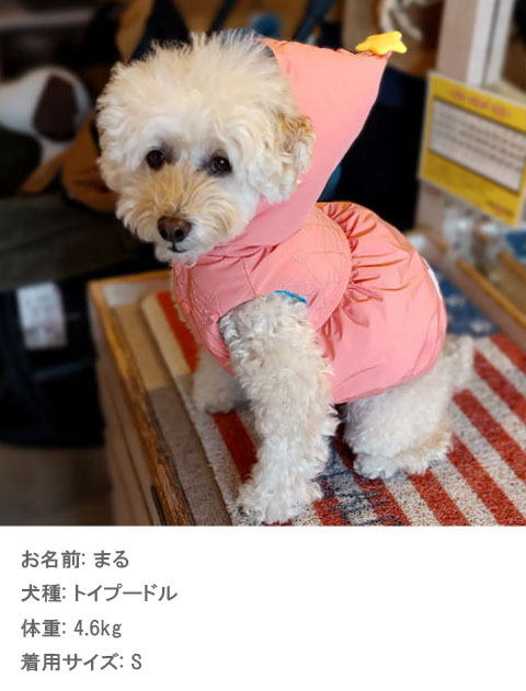 フェアリーエアーベスト 犬服ブランドのドッグデプト/DOG DEPT