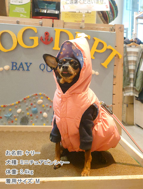 フェアリーエアーベスト 犬服ブランドのドッグデプト/DOG DEPT