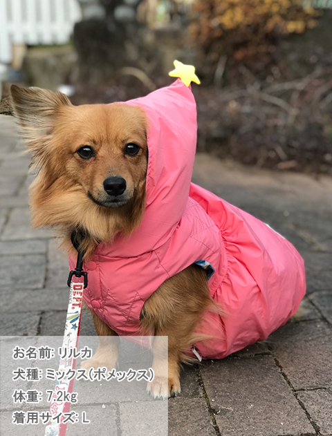 フェアリーエアーベスト 犬服ブランドのドッグデプト/DOG DEPT