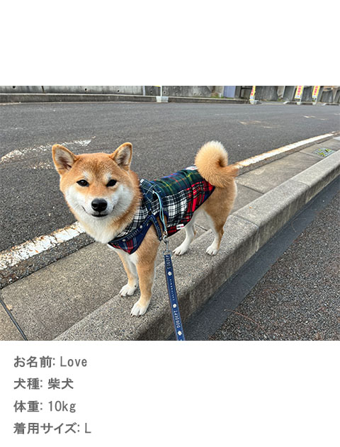 チェックPTボタンパーカー犬服ブランドのドッグデプト/DOG DEPT