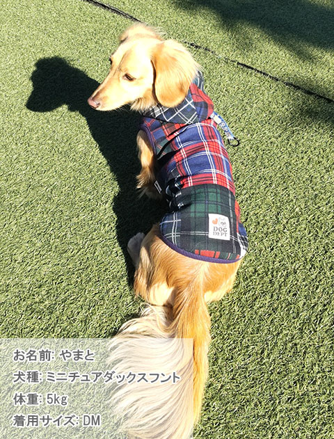 チェックPTボタンパーカー犬服ブランドのドッグデプト/DOG DEPT