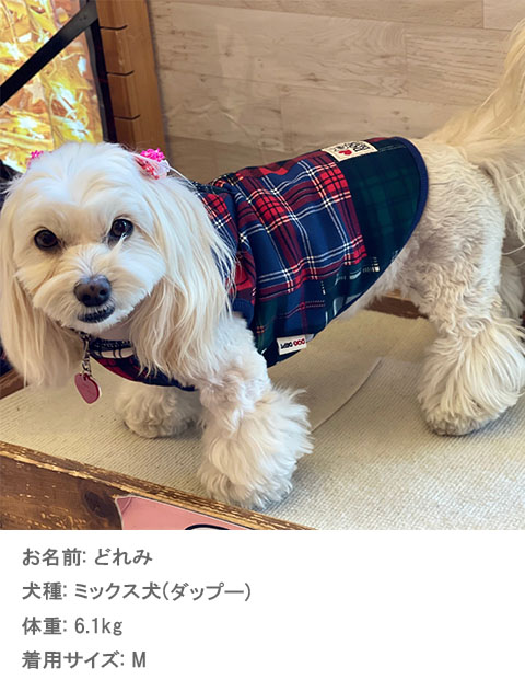 チェックPTボタンパーカー犬服ブランドのドッグデプト/DOG DEPT