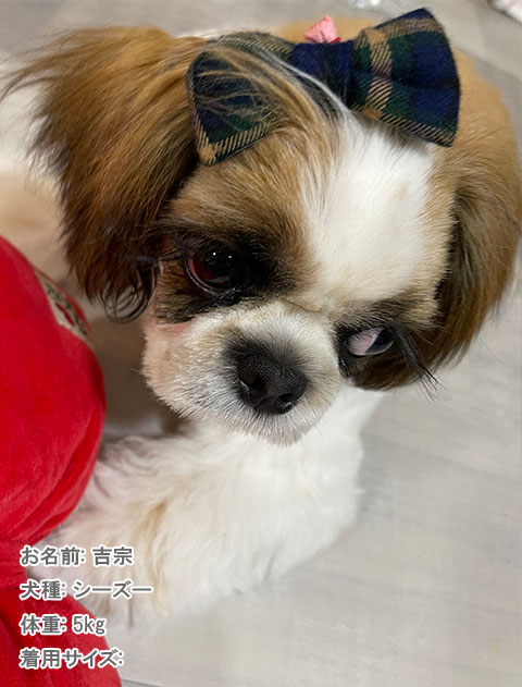 DOG GOODS】タータン蝶ネクタイ