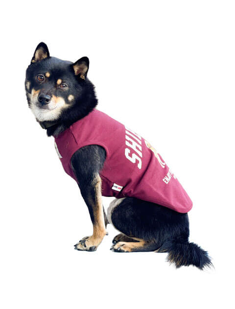 【DOG WEAR】柴犬ノースリーブ