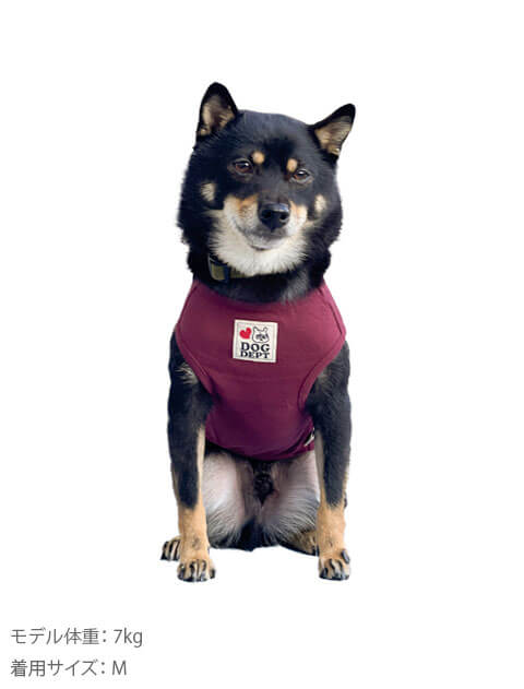 柴犬ノースリーブ犬服ブランドのドッグデプト/DOG DEPT