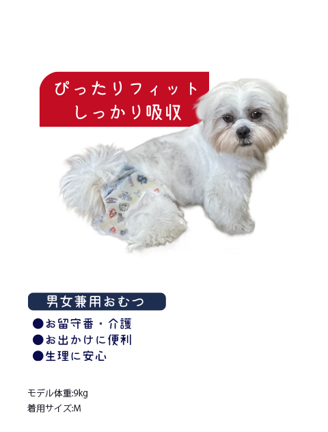  男女兼用マナーおむつ ブランドのドッグデプト/DOG DEPT