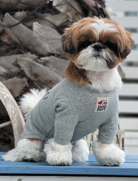 【DOG WEAR】シーズーTシャツ