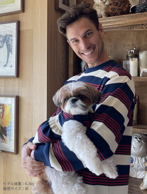 犬服 / ドッグウェア】ランダムボーダーペア / DOG DEPT (ドッグデプト