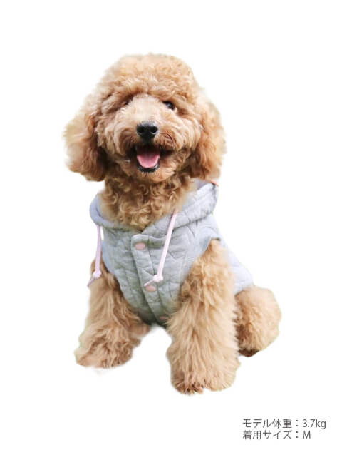 スターキルトボタンパーカー  犬服ブランドのドッグデプト/DOG DEPT