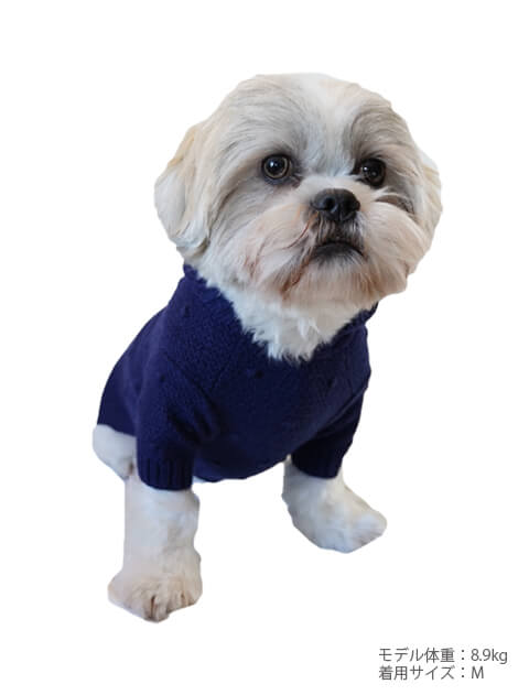 ドットジャガードニットプルパーカー犬服ブランドのドッグデプト/DOG DEPT
