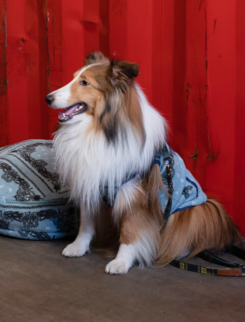 バンダナボアフリースベスト  犬服ブランドのドッグデプト/DOG DEPT