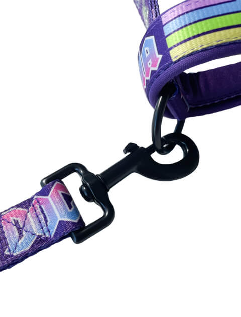 ロックロゴリード＆ショルダーハーネス ブランドのドッグデプト/DOG DEPT