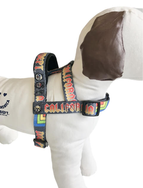 DOG GOODS】ロックロゴリード＆ショルダーハーネス