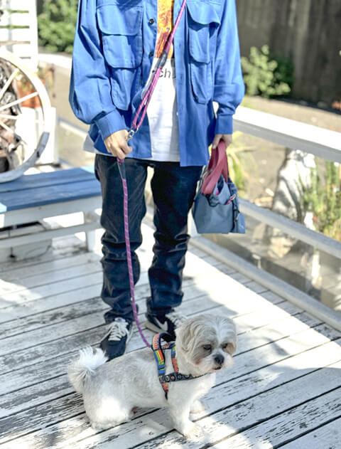 ロープ　ハンズフリーリード ブランドのドッグデプト/DOG DEPT