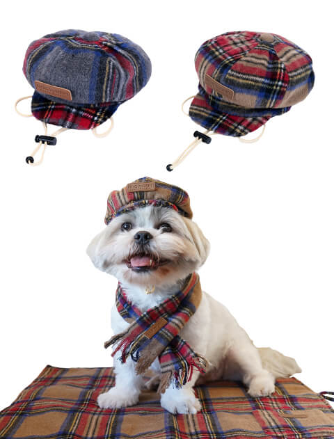 【DOG GOODS】チェックキャスケット