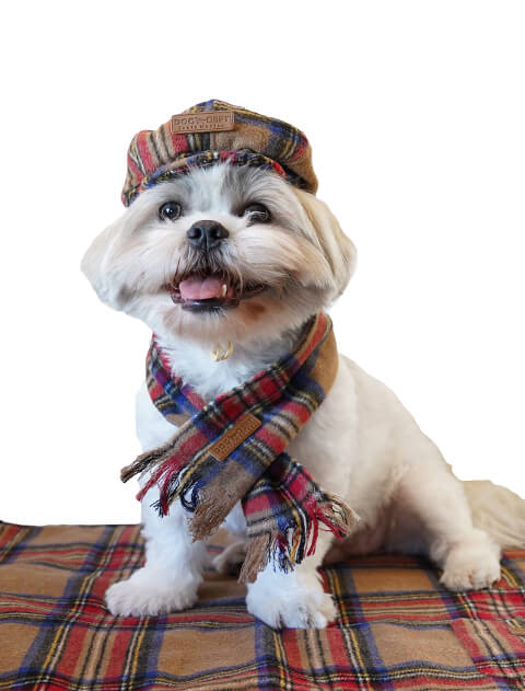 motto_dog 01 / CORDURA モットドッグ + 冬の装いマフラー motto_dog 01 心地好く / CORDURA モットドッグ 冬の装いマフラー