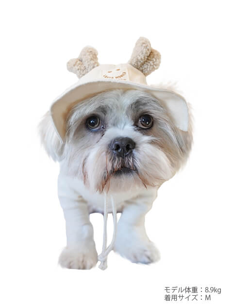 くま耳ハット ブランドのドッグデプト/DOG DEPT