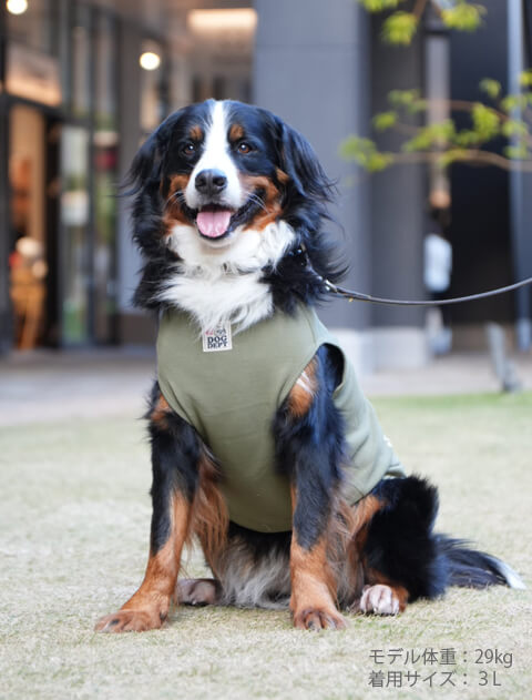 バーニーズノースリーブ犬服ブランドのドッグデプト/DOG DEPT