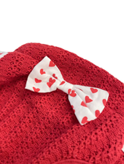 ハートペア 犬服ブランドのドッグデプト/DOG DEPT