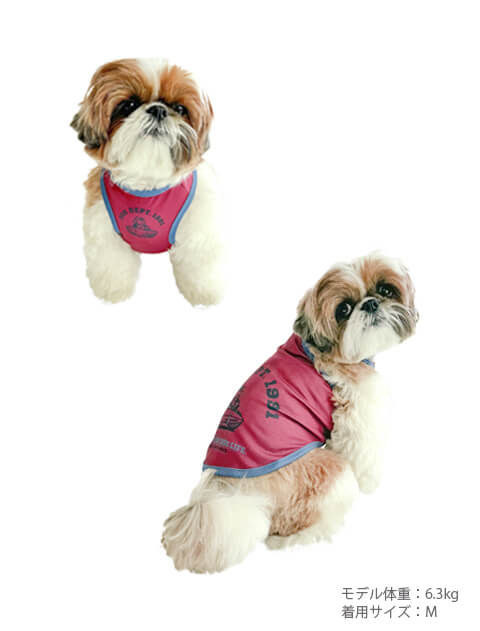 濡らして着る　ビーチドッグクールタンクトップ 犬服ブランドのドッグデプト/DOG DEPT
