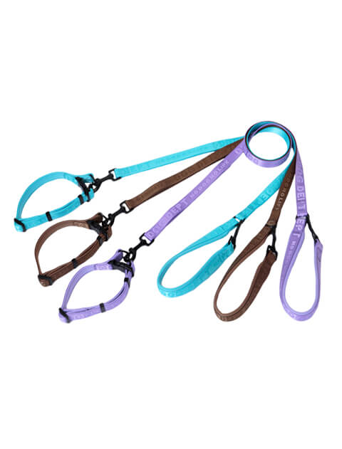 ジャガードロゴ　リード＆カラーセット ブランドのドッグデプト/DOG DEPT