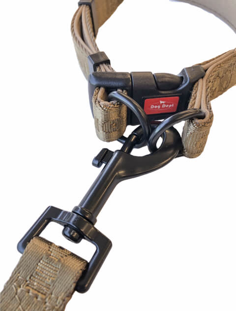 ジャガードロゴ　リード＆カラーセット ブランドのドッグデプト/DOG DEPT