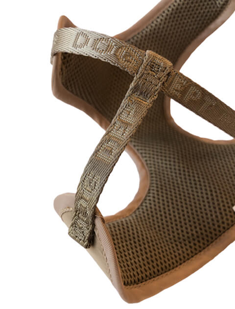 ジャガードロゴ　リード＆ソフトハーネスセット ブランドのドッグデプト/DOG DEPT